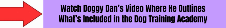 what's included in doggy dan's dog trainer academy
