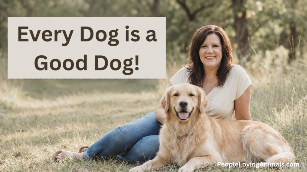 dog training for reactive or aggressive dogs