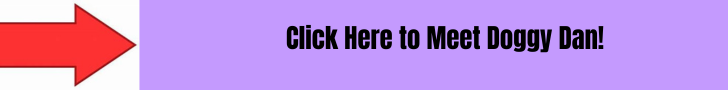 meet doggy dan