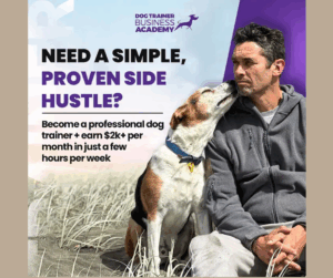 doggy dan dog trainer academy review