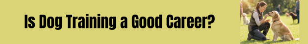 is dog training a good career?