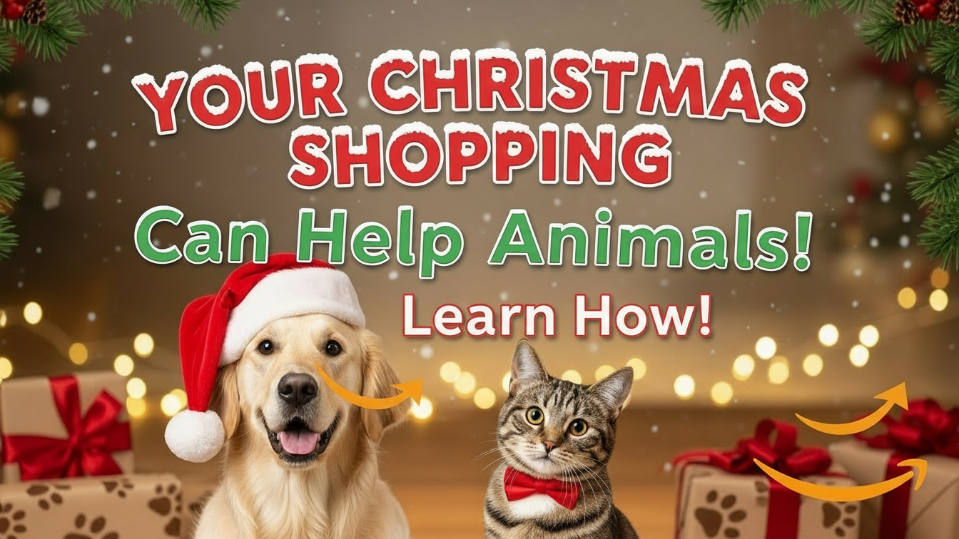 your christmas shopping can help animals