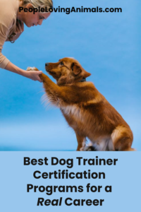 Best Dog Trainer Certification Programs for a Real Career