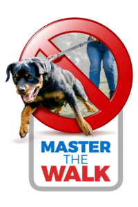 Master the walk by Doggy Dan