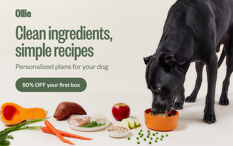 ollie fresh dog food