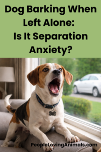 dog barking when left alone