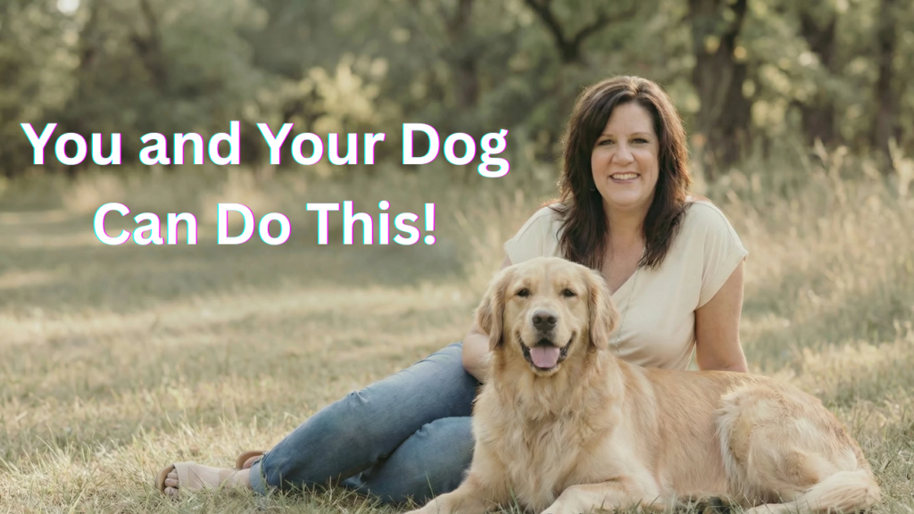 how to train your dog