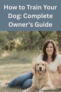 how to train your dog