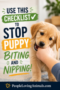 stop puppy biting and nipping checklist