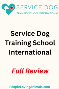 Service Dog Training School International Reviw