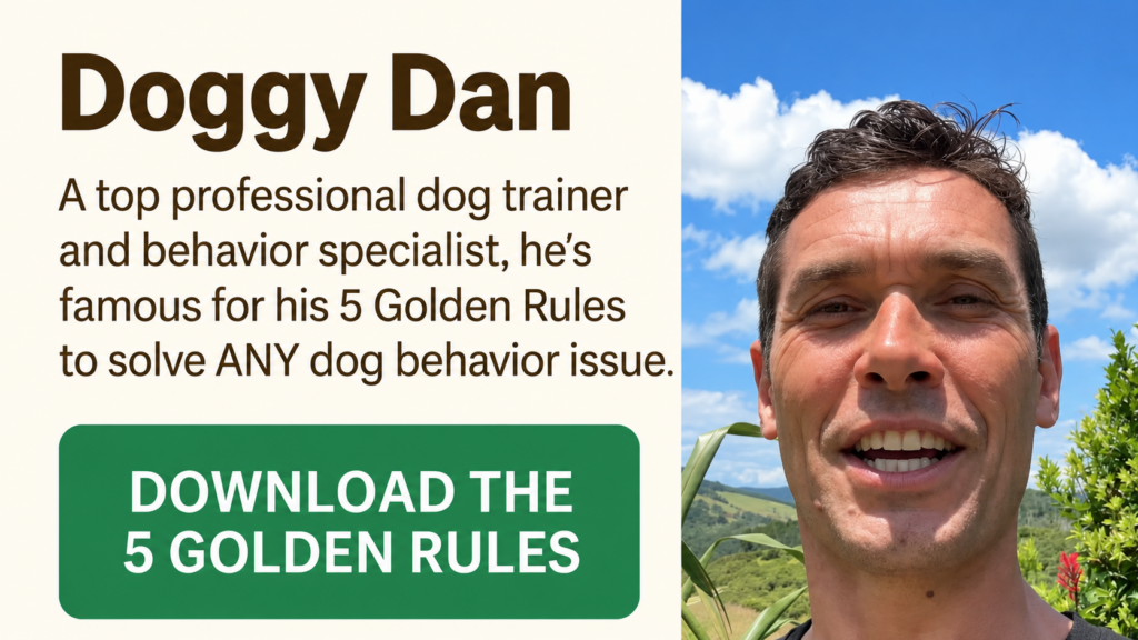 doggy dan 5 golden rules dog training