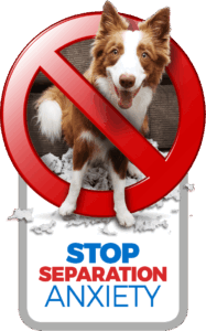 puppy separation anxiety training