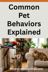common pet behaviors explained