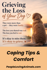 grieving the loss of your dog