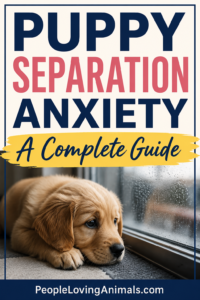 puppy separation anxiety guide
