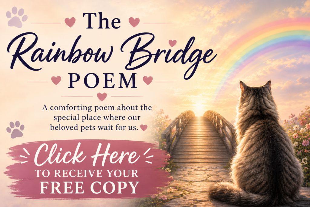 the rainbow bridge pet loss poem