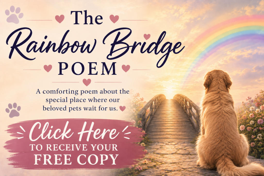 rainbow bridge pet loss poem