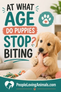 at what age do puppies stop biting?