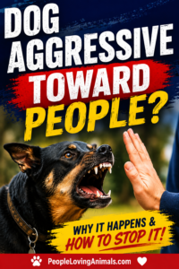 dog aggressive toward people