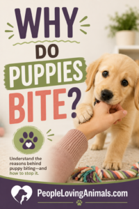 why do puppies bite?