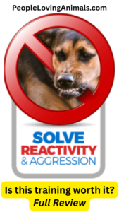 solve reactivity & aggression review