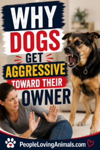 dog aggression toward owner