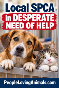 Local SPCA in Desperate Need of Help